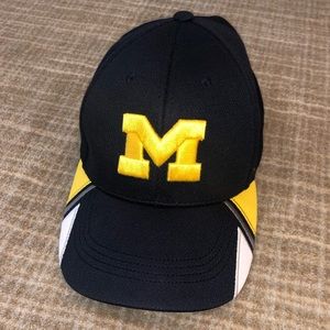 Michigan hat